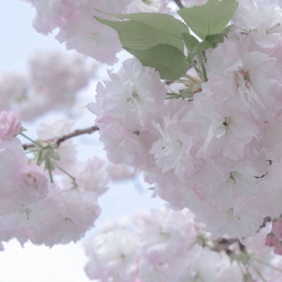 襄城福瑞交流群